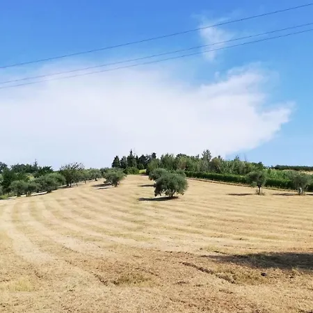 Colle Gelso カントリーハウス チェゼーナ