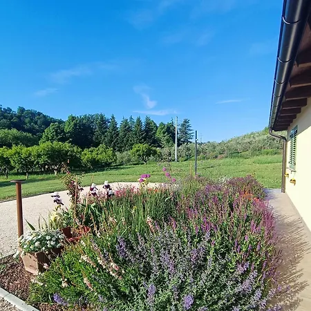 Colle Gelso Cesena