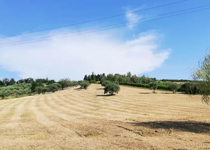 Colle Gelso カントリーハウス チェゼーナ